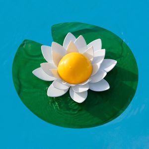Desjoyaux LOTUS plavajoči termometer za bazen